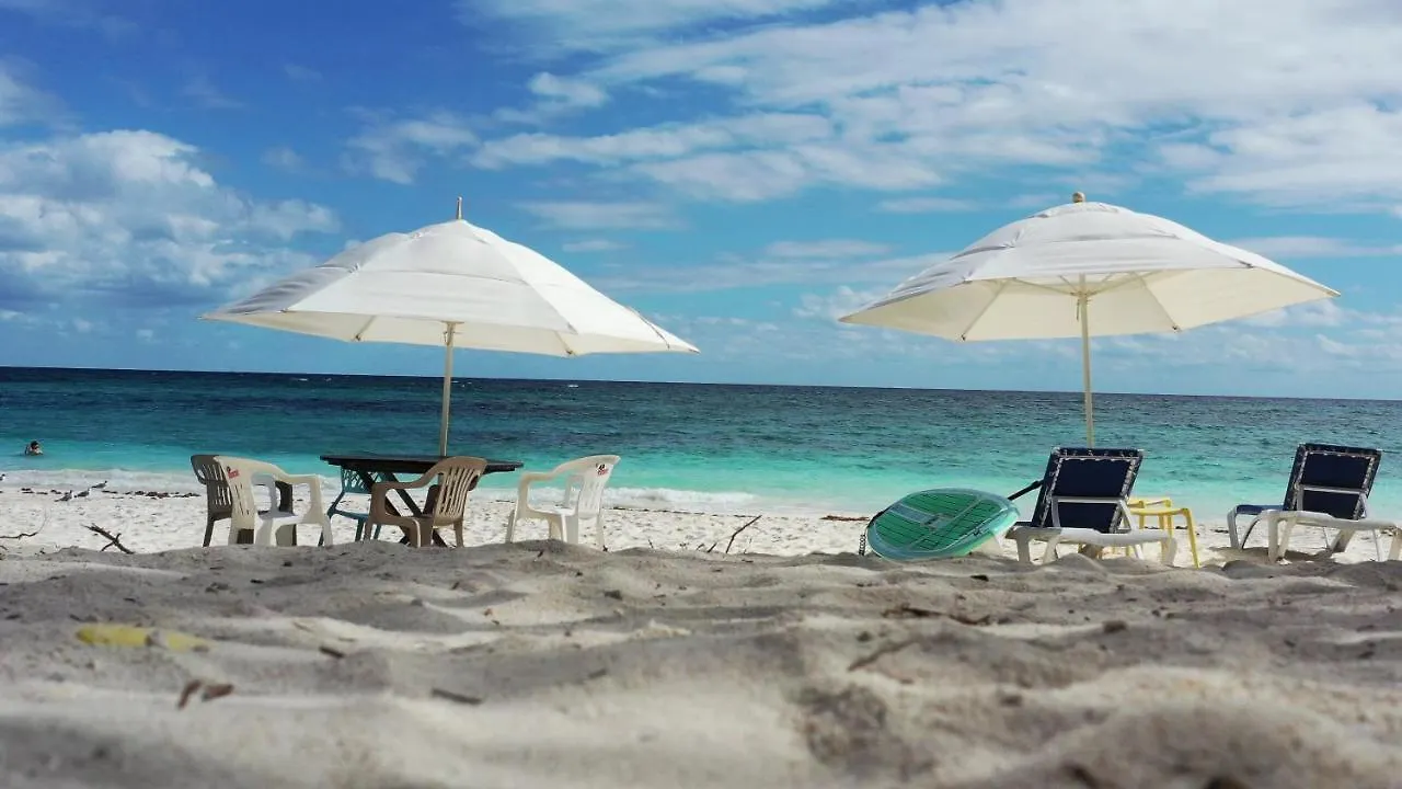 מלון שפו הא El Secreto Ocean Front Cabin בית הארחה